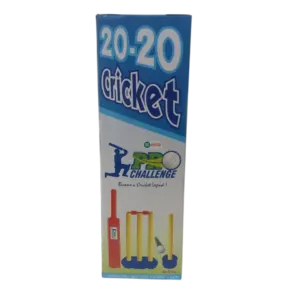 20 - 20 Cricket