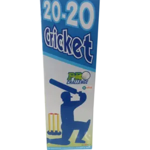 20 - 20 Cricket