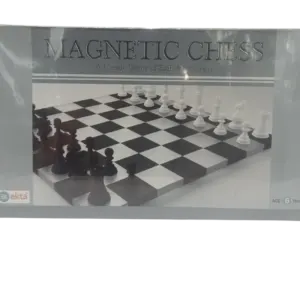 Magnetic Chess