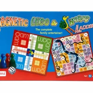magnetic ludo and ladder